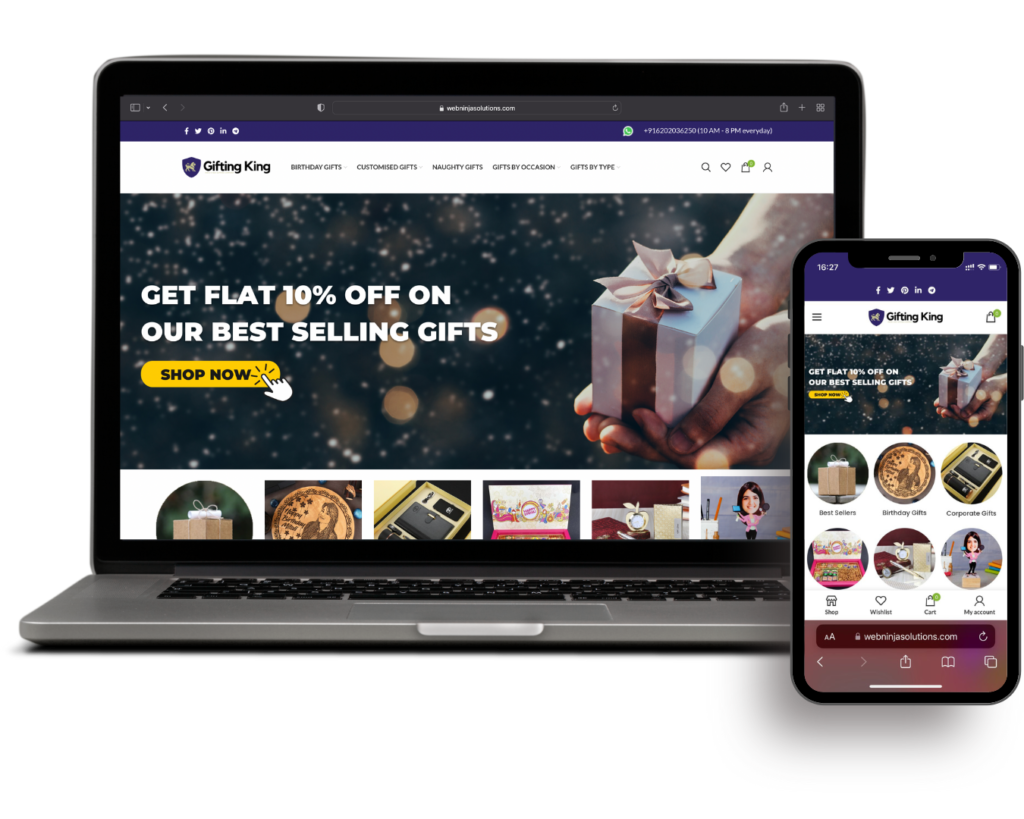 ecommerce website development by web ninja solutions