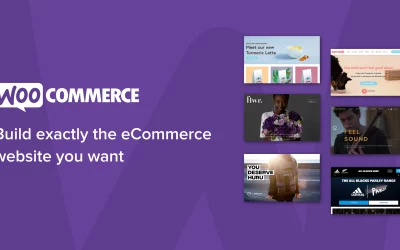 woocommerce ecommerce website development in india